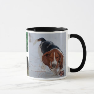 Basset Hounds Mok