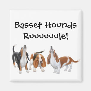 Basset Hounds Rule Magnet Magneet