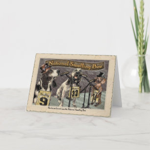 Basset wint het Ruiken Bij Kaart