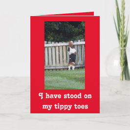 Basset zoeken op Schattigee Valentijnsdag Kaart 