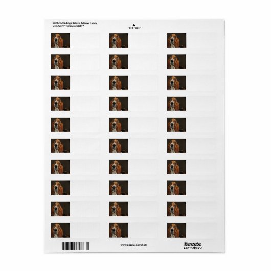 bassetshond 2 etiket (Full Sheet)