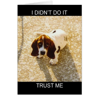 Bassett Hound-kaarten