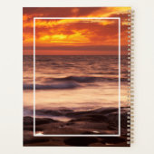 Bassins de marée de La Jolla (Dos)