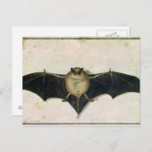 Bat, 1522 briefkaart (Voorkant / Achterkant)