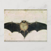 Bat, 1522 briefkaart (Voorkant)