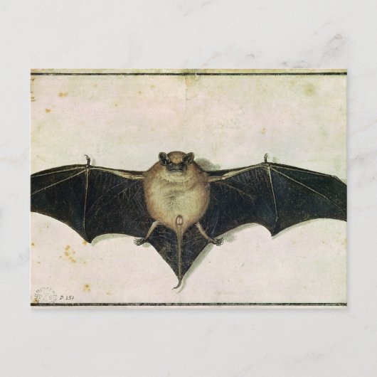 Bat, 1522 briefkaart (Voorkant)