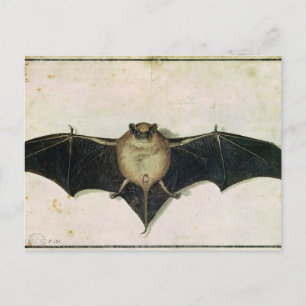 Bat, 1522 briefkaart