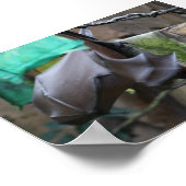 Bat (3) - affiche / impression (Coin)