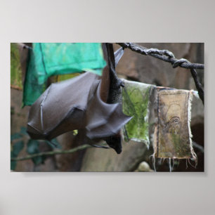 Bat (3) - affiche / impression