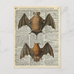 Bat Anatomy Briefkaart