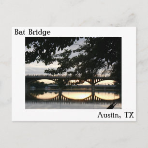 Bat Bridge in Austin, Briefkaart Texas