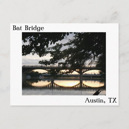 Bat Bridge in Austin, Briefkaart Texas (Voorkant)