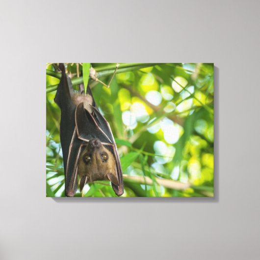 Bat Canvas Afdruk (Voorkant)