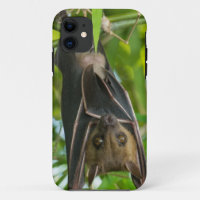 Bat