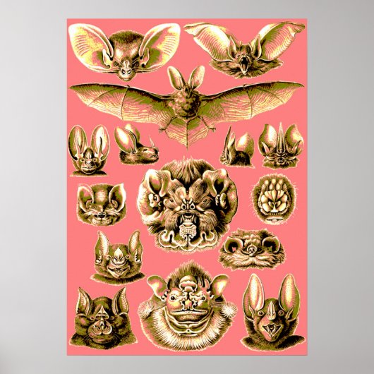 Bat Face Poster (Voorkant)