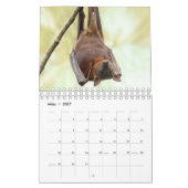Bat/Fledermaus als Kalender (Mar 2027)