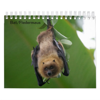 Bat/Fledermaus als Kalender