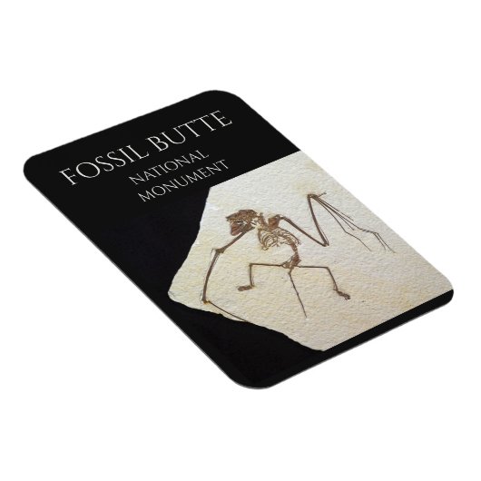 Bat Fossil, Fossil Butte Nationaal Monument Magneet (Rechterzijde)