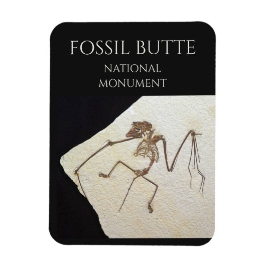 Bat Fossil, Fossil Butte Nationaal Monument Magneet (Verticaal)