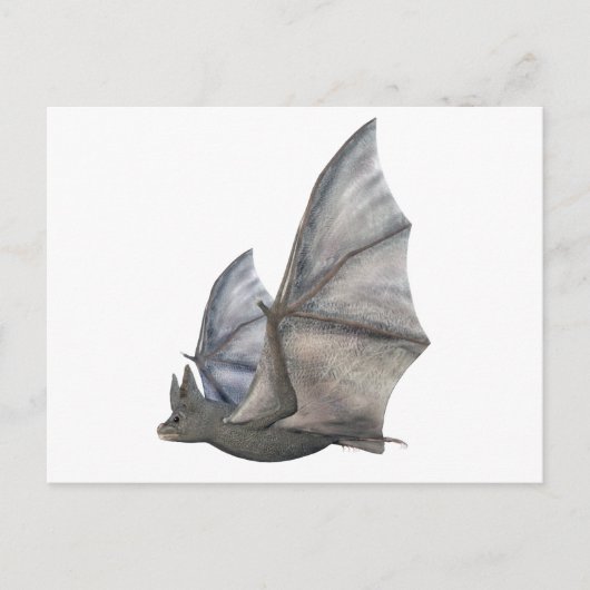 Bat in zij Profiel met Wijzen in Uplag Briefkaart (Voorkant)