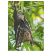 Bat Klembord (Achterkant)