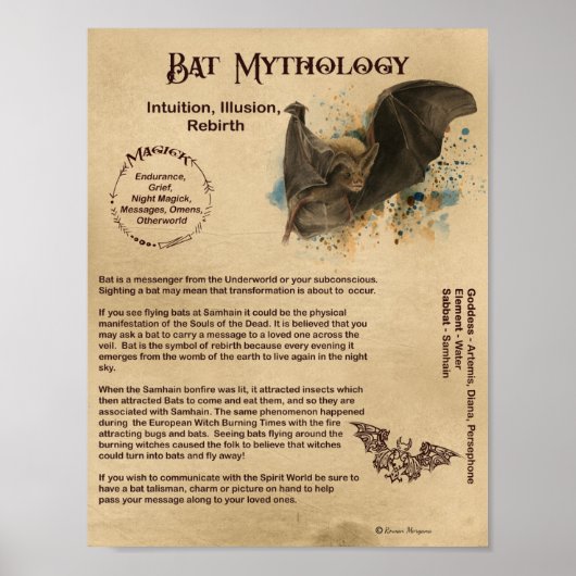 BAT MYTHOLOGIE POSTER (Devant)