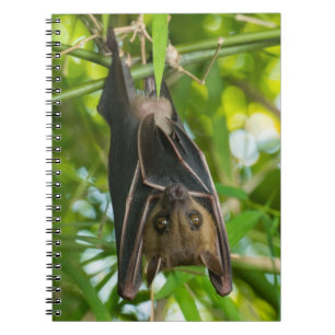 Bat Notitieboek