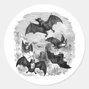 Bat Sketch Ronde Sticker