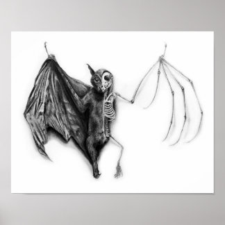 Bat Specimen Poster