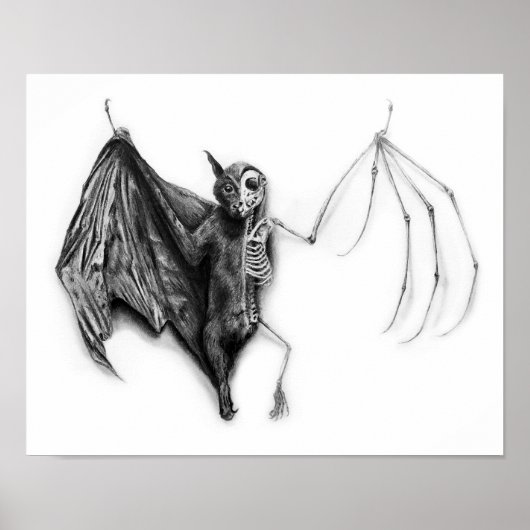 Bat Specimen Poster (Voorkant)