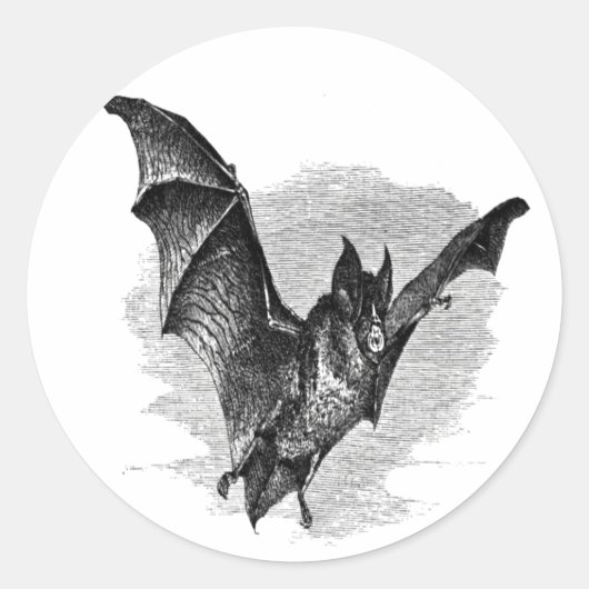 Bat Sticker (Voorkant)