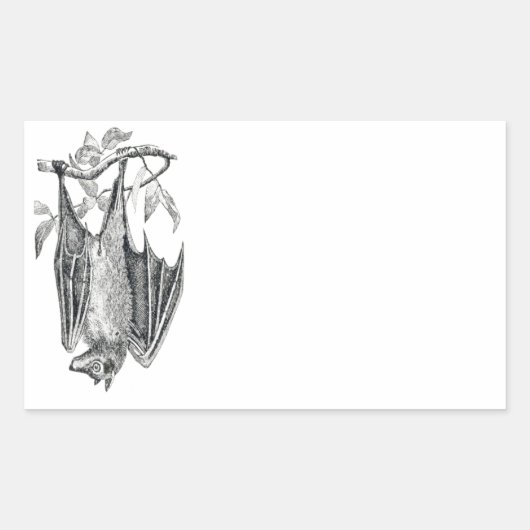  Bat Sticker (Voorkant)