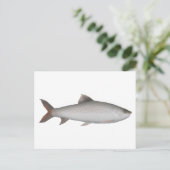 Bata Briefkaart (Staand voorkant)