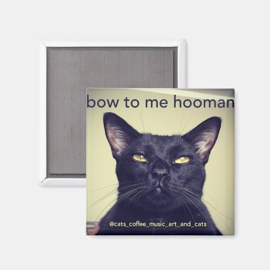 Batcat : Bow to me hooman Magnet (Recto/Verso)
