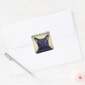 Batcat: buig voor me hooman Sticker (Envelop)
