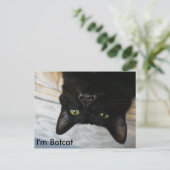 Batcat: Ik ben Batcat Briefkaart (Staand voorkant)