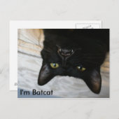 Batcat: Ik ben Batcat Briefkaart (Voorkant / Achterkant)