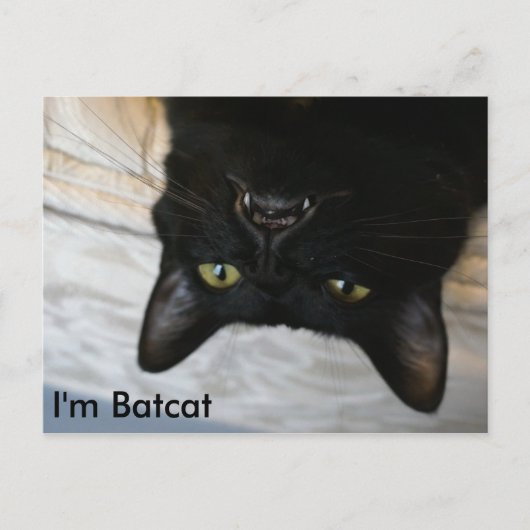 Batcat: Ik ben Batcat Briefkaart (Voorkant)