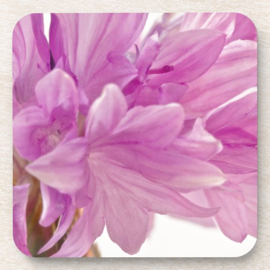 Batchelor-Button Onderzetter (Voorkant)