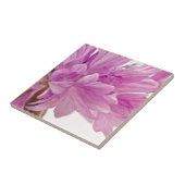 Batchelor-Button Tegeltje (Zijkant)