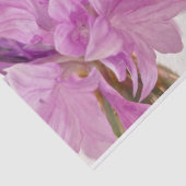 Batchelor-Button Tissuepapier (Detail)