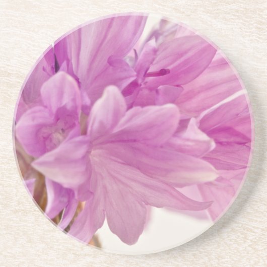 Batchelor-Button Zandsteen Onderzetter (Voorkant)