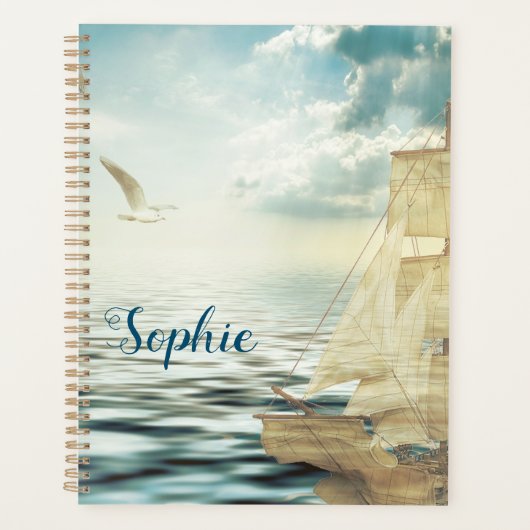 Bateau à voile et mouettes Brigantine (Devant)