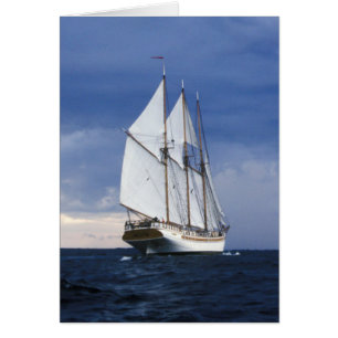 Bateau À Voile Sur La Mer Baltique