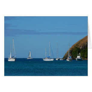 Bateaux à voile dans la baie Blancs et Bleus Nauti