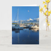 Bateaux à voile vierge sur la carte du lac Ontario (Fleur jaune)