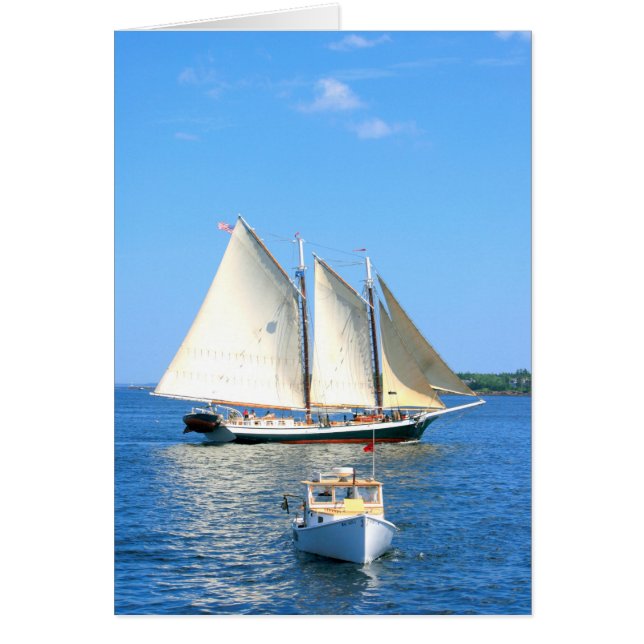 Bateaux du Maine (Devant)