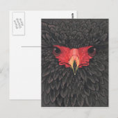 Bateleur Eagle African Bird Portrait Paper Collage Briefkaart (Voorkant / Achterkant)
