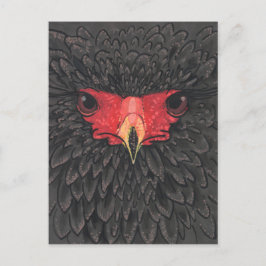 Bateleur Eagle African Bird Portrait Paper Collage Briefkaart