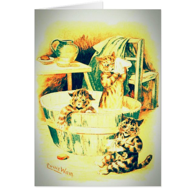 Bath du chat (Devant)